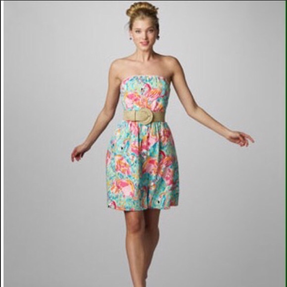 Lilly Pulitzer Dresses & Skirts - Lilly Pulitzer Wyatt Eat and Peel Flamengo Dress